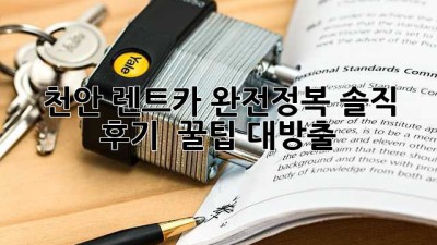천안 렌트카 완전정복🚗💨 솔직 후기 & 꿀팁 대방출!