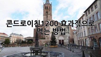 콘드로이친1200 효과적으로 먹는 방법
